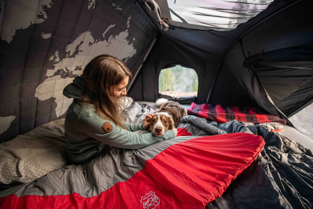 COME PORTARE IL TUO CANE IN UNA TENDA DA TETTO
