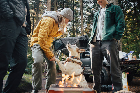 Rainfly Camp Vibes